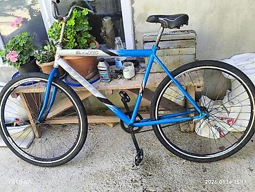 velasupet: Şəhər tipli velosiped – tək sürət (single-speed) - Çərçivə: polad — 1