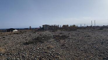 8 соток, Курулуш, Кызыл китеп — 2