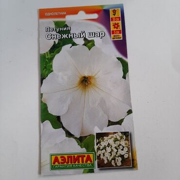 Buket güllər: Məhsul: Petunya toxumları – AELITA (keyfiyyət zəmanəti) Dəst tərkibi