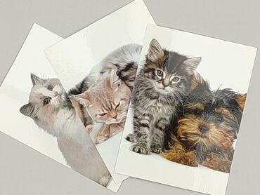 Postcard, condition - Perfect