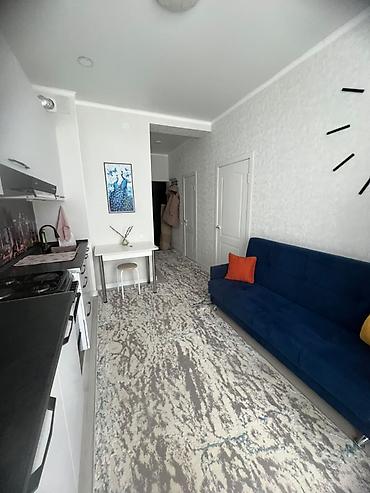 Продажа квартир: 1 комната, 30 м², Кара-Жыгач ж/м Индивидуалка, 2 этаж, Евроремонт — 7