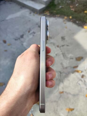 Apple iPhone: IPhone 15 Pro Max, Б/у, 256 ГБ, Natural Titanium, Чехол, 89 % — 3