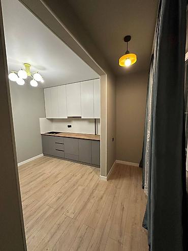 7 1: 1 комната, 49 м², Пишпек Элитка, 7 этаж, Евроремонт — 7
