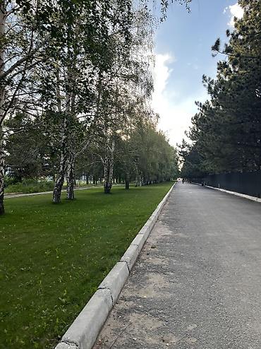 квартиры исыкуль: Аренда квартиры на Иссык-Куле, Фонтан, Кара-Ой (Долинка), 4 места, Цена Целиком за жилье — 9