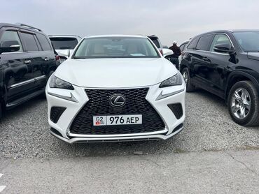 ручка нексия: Lexus NX: 2019 г., 2 л, Автомат, Бензин, Жол тандабас