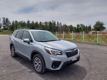субару машина: Subaru Forester: 2019 г., Автомат