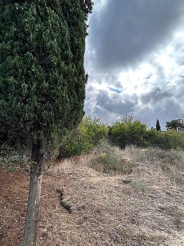 Torpaq sahələrinin satışı: 24 sot, Tikinti, Mülkiyyətçi, Kupça (Çıxarış) — 3