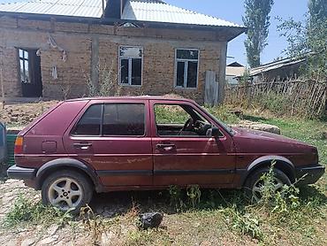 краски на авто: Volkswagen Golf: 1993 г., 1.6 л, Механика, Бензин, Хэтчбэк — 4