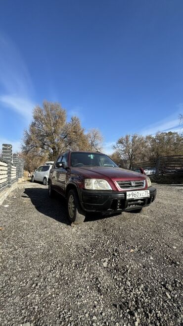 Honda: Honda CR-V: 1996 г., Автомат, Кроссовер — 8