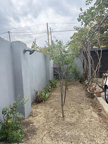 bayılda ev: 3 otaqlı, 120 kv. m, Kredit yoxdur — 5