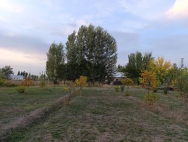 Продажа участков: 6 соток, Для строительства, Красная книга, Договор купли-продажи — 4