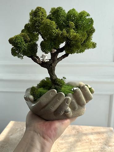 Декоративные цветы: Деревья-бонсай из натурального стабилизированного мха🌳 -это — 75