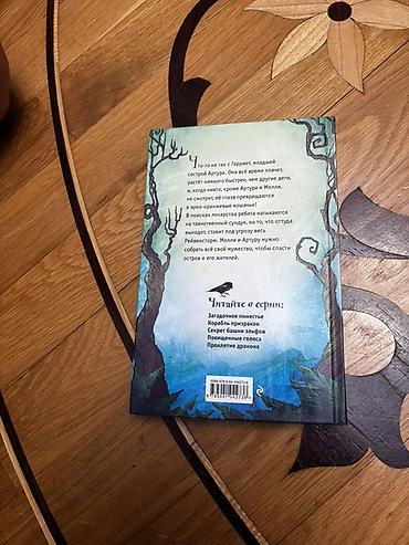 Kitablar və jurnallar: Məhsul: Kitab – “Секрет башни эльфов” (Elf Qalasının Sirri) Müəllif — 2