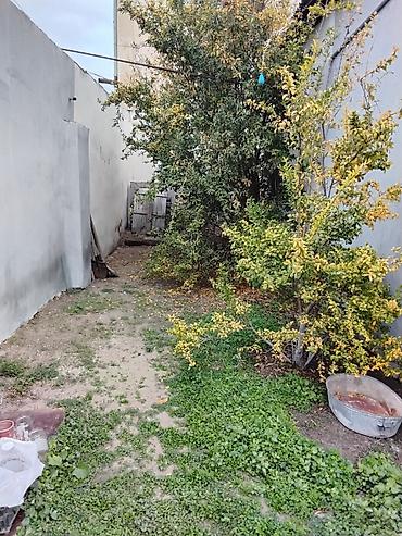 Otaqların satışı: Продаеться дом от Хозяина в поселки Расулзаде(Кирова). Улица 8 Марта — 14
