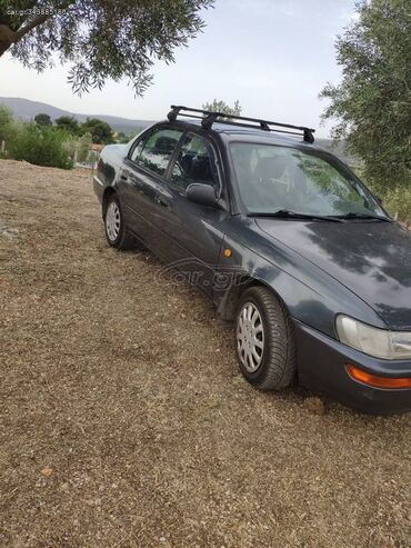 Toyota: Toyota Corolla: 1.6 l. | 1992 έ. Λιμουζίνα — 10