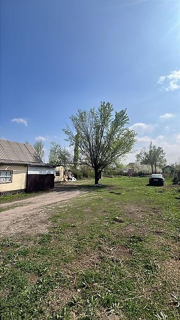 участок киргизия: 10 соток, Для строительства, Договор купли-продажи, Красная книга — 3