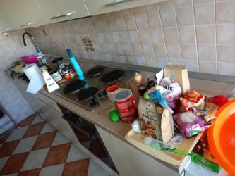 Ostali nameštaj: Postavljanje Ikea polica postavljanje slika na zid, popravka — 6