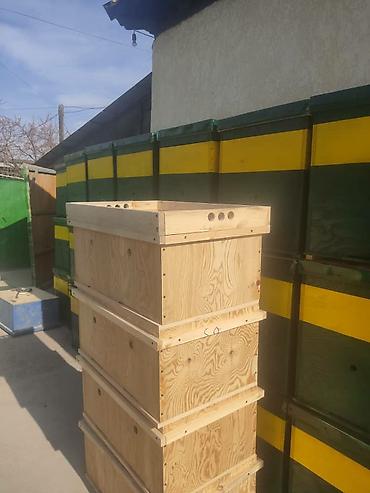 Ящики: Ящик — 6