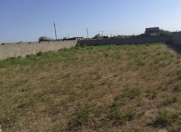kreditle satilan hazir evler: 200 sot, Kənd təsərrüfatı, Maklerlər narahat etməsin, Kupça (Çıxarış) — 1