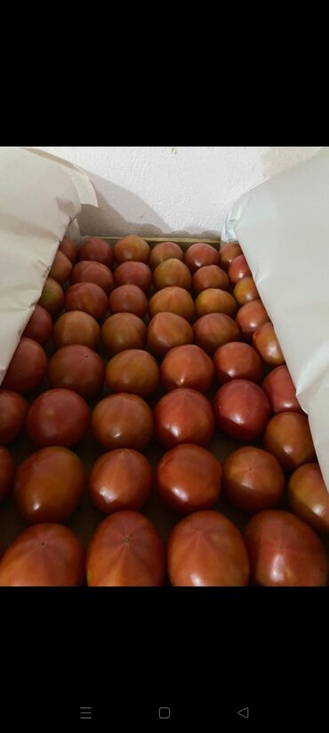 Овощи: Salam pomidor isdeyen elaqe saxlasin ucuz qiymətə