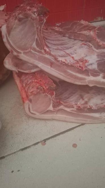 Свинина: Свинина. Опт от 10 кг. - Ассортимент: полутуши, грудинка/бекон с — 5