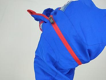 klepper kurtka: Jako, Kurtka przejściowa damska, rozmiar S — 6