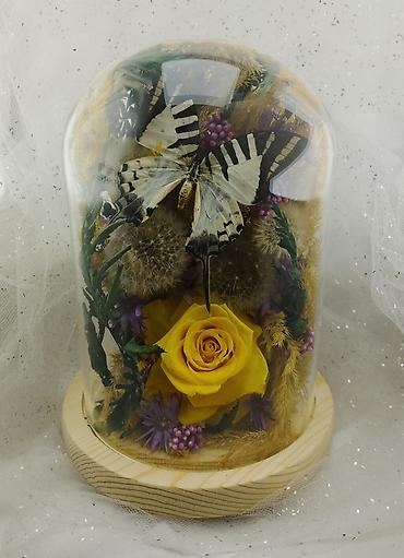 Организация мероприятий: Живые розы которые не завянут даже через год!!! Красивые цветы для — 2