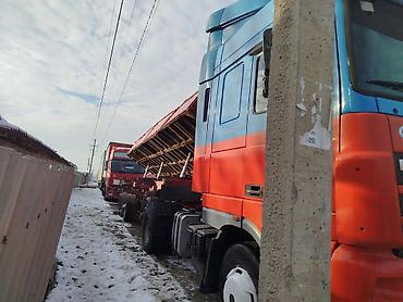 Тягачи: Тягач, DAF, Самосвал — 8