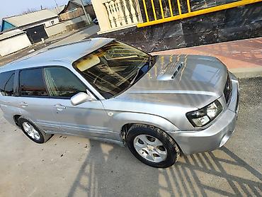 Subaru: Subaru Forester: 2003 г., 2 л, Автомат, Бензин, Универсал — 33