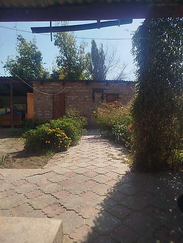 купить бункер: 4 комнаты, 60 м², 6 соток, Алексеевка, Собственник — 4