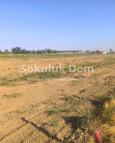 для сельского хозяйство: 🌱Продается участок земли сельхозназначения + пруд в с. Романовка, от