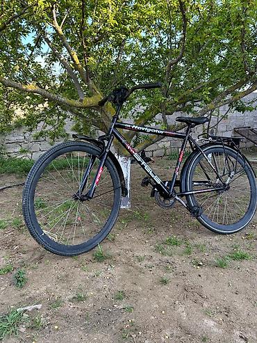 velosibet type 1: STELS Navigator 300 velosiped - Şəhər tipli klassik çərçivə — 2