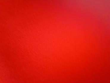 Xalçalar: Xalça Qoruyucu, Kredit yoxdur — 11