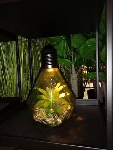 silvercrest mini rerna: VELIKA SIJALICA SA VESTACKOM BILJKOM NOVA LED LAMPA AKCIJA | Cene — 2