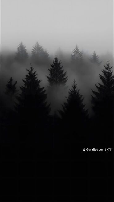 Ford: Ford Focus: 2016 г., 2 л, Автомат, Бензин, Седан — 10