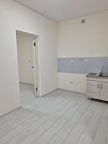 дом под бизнес: Студия/офисное помещение с отдельным санузлом и мини-кухней - — 3