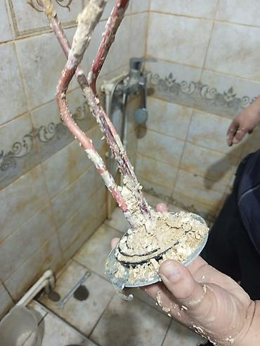 Установка водонагревателей: Профессиональная чистка водонагревателей Ariston 24/7. Что делаем: - — 10