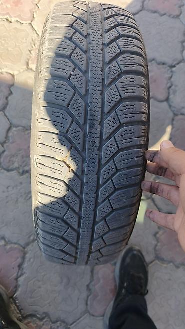 165 60 14: Зимняя шина Semperit Master-Grip 2 - Размер: 165/70 R14 81T - — 1
