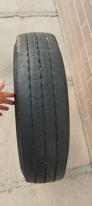 Шиналар: Шиналар R 17.5, Жүк ташуучу унаалар/Автобустар, Michelin