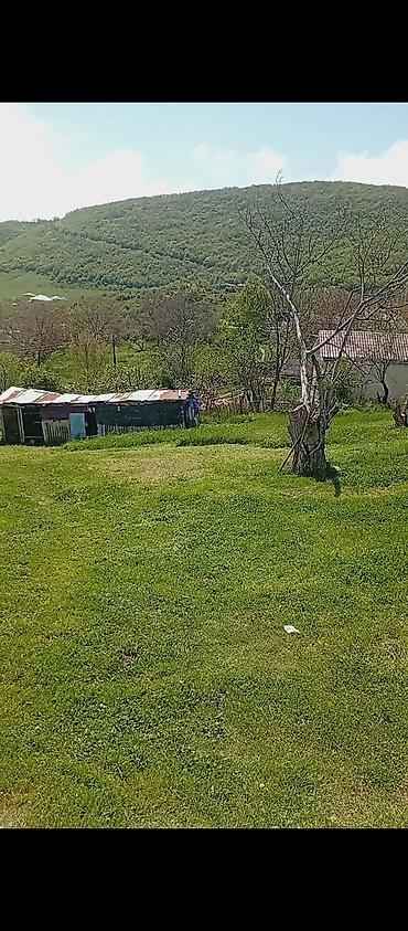 Torpaq sahələrinin satışı: Kənd təsərrüfatı — 3