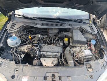 Seat: Seat Ibiza: 1.2 l | 2010 г. 237539 km Hečbek — 15