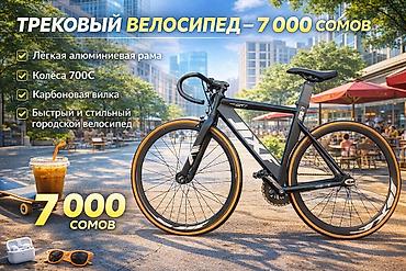 Городские велосипеды: Городской велосипед, Рама L (172 - 185 см) — 1