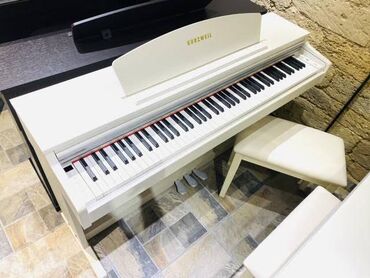 Музыкальные инструменты: Koreya istehsali olan dünya şöhrətli Kurzweil pianoları. Sevimli