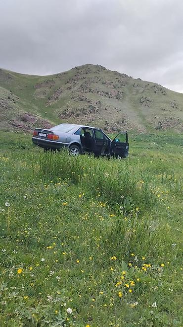 audi 100: Audi 100: 1991 г., 2.3 л, Механика, Бензин, Седан — 2