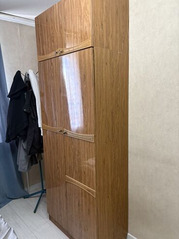 портативный шкаф: Шкаф для одежды, Прямой