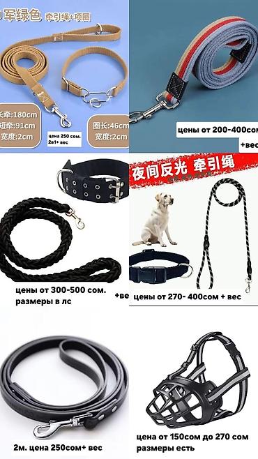 Зоотовары: Одежда, переноски и игрушки для домашних животных Ассортимент: - — 14