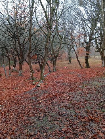 Restoran, kafelər: Masalli İsti su yaxin. 3 hektar ərazi 7 katej 6 bisetka. Tam islek -da lalafo.az — 9 Restoran, kafelər: Masalli İsti su yaxin. 3 hektar ərazi 7 katej 6 bisetka. Tam islek — 9