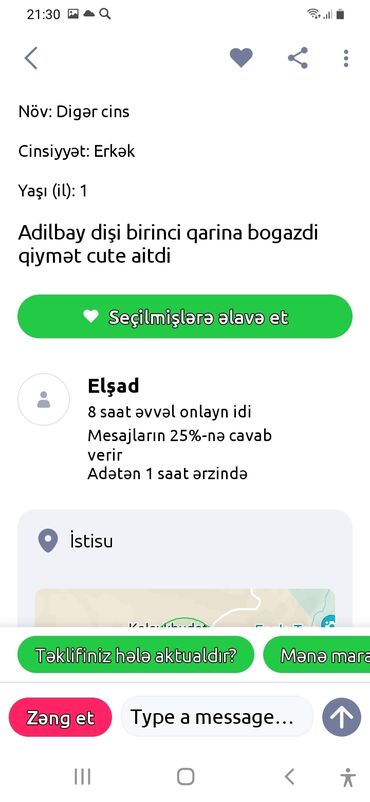 İtlər: İtlər