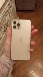 Apple iPhone: IPhone 12 Pro, 128 GB, Matte Gold, Face ID — 1