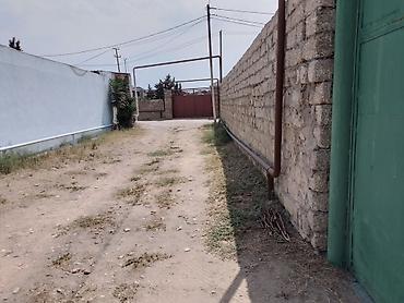 lalafo.az balaken: Digah, 80 kv. m, 4 otaqlı, Hovuzsuz, Qaz, Kanalizasiya, Artezian quyusu — 2